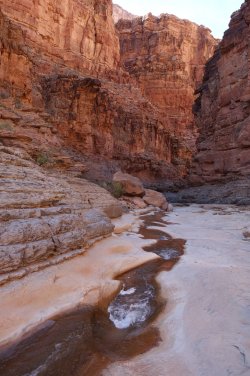 DSC07835_20pc.JPG DSC07835_20pc.JPG