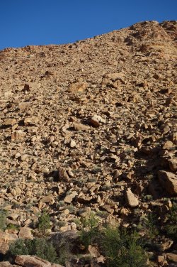 DSC07888_20pc.JPG DSC07888_20pc.JPG