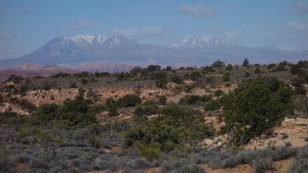 DSC07911_20pc.JPG DSC07911_20pc.JPG