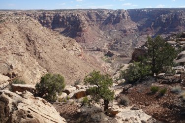 DSC07914_20pc.JPG DSC07914_20pc.JPG