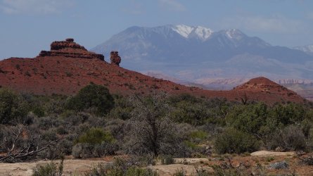 DSC07936_20pc.JPG DSC07936_20pc.JPG