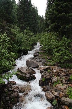 06.jpg