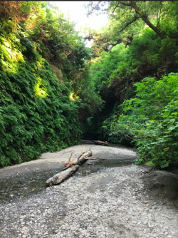 Screen Shot 2022-07-17 at 11.38.50 AM.png