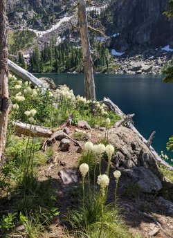 PXL_20220716_203712757~2.jpg PXL_20220716_203712757~2.jpg