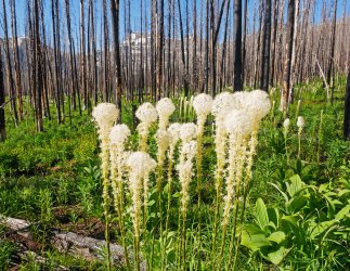 P1280429-copy-2.jpg P1280429-copy-2.jpg