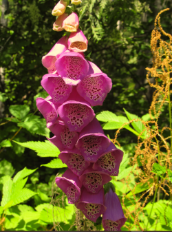 1658457995536.png 1658457995536.png