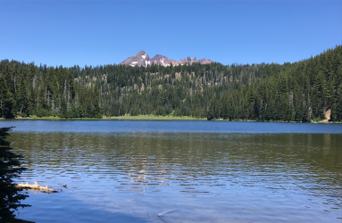 View recent photos.png