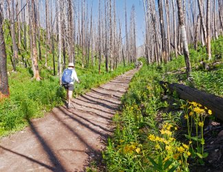 P1280441-copy-2.jpg P1280441-copy-2.jpg