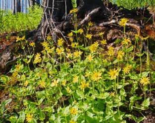 P1280442-copy-2.jpg P1280442-copy-2.jpg