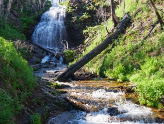 P1280454-copy-2.jpg P1280454-copy-2.jpg