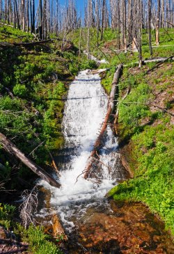 P1280457-copy-2.jpg P1280457-copy-2.jpg