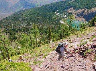 P1280483-copy-2.jpg P1280483-copy-2.jpg