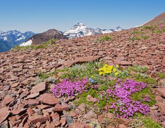 P1280540-copy-2.jpg P1280540-copy-2.jpg