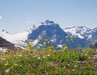 P1280579-copy-2.jpg P1280579-copy-2.jpg