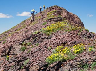 P1280588-copy-2.jpg P1280588-copy-2.jpg