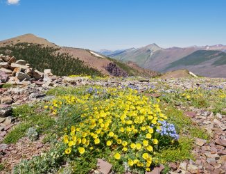 P1280620-copy-2.jpg P1280620-copy-2.jpg