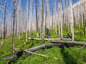 P1280651-copy-2.jpg P1280651-copy-2.jpg