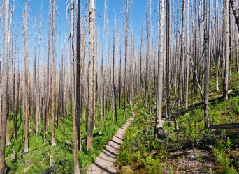 P1280652-copy-2.jpg P1280652-copy-2.jpg