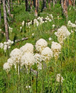 P1280662-copy-2.jpg P1280662-copy-2.jpg