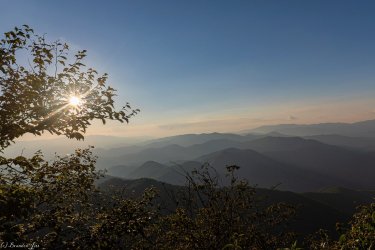 2A4A2268.jpg 2A4A2268.jpg