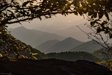 2A4A2280.jpg 2A4A2280.jpg