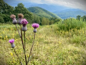 IMG_1640.jpg IMG_1640.jpg