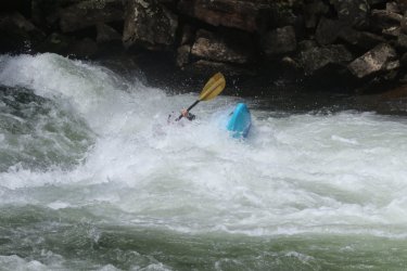 IMG_0382.JPG IMG_0382.JPG