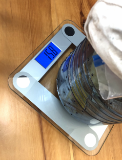 Screen Shot 2022-08-23 at 2.19.34 PM.png