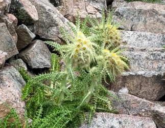 IMG_7349_Moment.jpg IMG_7349_Moment.jpg