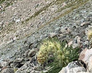 IMG_0967.jpg IMG_0967.jpg