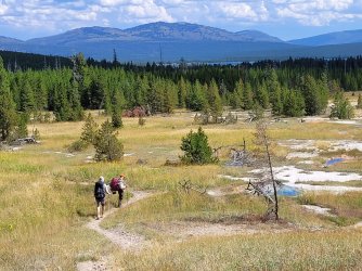 Heart lake outlet trail yellowstone