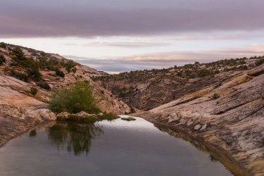 Escalante Memorial Romp 5-20190877_1.jpg