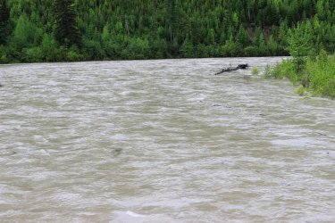 IMG_3273a IMG_0211.jpg