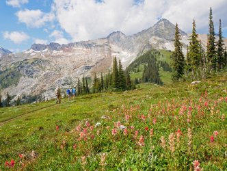 P1290256-copy-2.jpg P1290256-copy-2.jpg