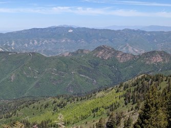 2021-06-12 11.58.28.jpg