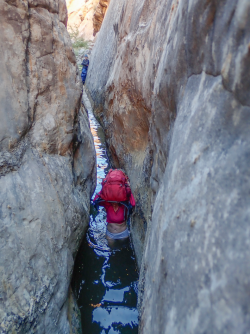 Fall Road Trip 2018 - 1 of 1.png