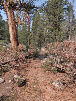 1662905430500.png 1662905430500.png