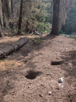 1662905492908.png 1662905492908.png