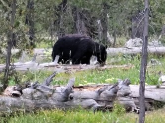 20220731_063916.jpg 20220731_063916.jpg