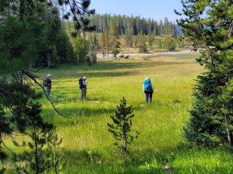 20220801_094922.jpg 20220801_094922.jpg