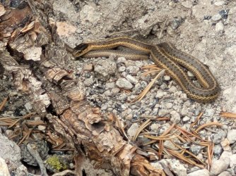 20220801_115125.jpg 20220801_115125.jpg