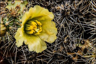 IMG_3519.jpg IMG_3519.jpg