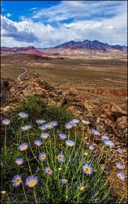 IMG_3613.jpg IMG_3613.jpg