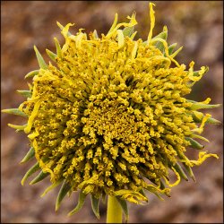 IMG_3552.jpg IMG_3552.jpg