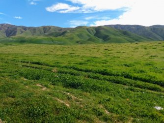 1 pic of tehachapi.jpg