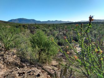 37 to right of center.jpg