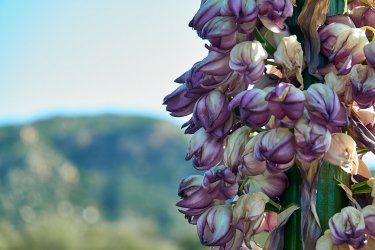 PCT21 15.jpg