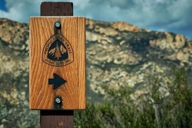 PCT21 36.jpg