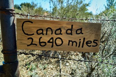 PCT21 44.jpg