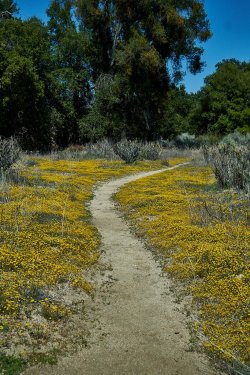 PCT21 141.jpg